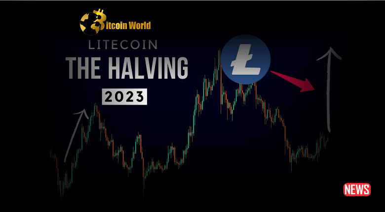 Half Litecoin Is Only 100 Days Away, Will LTC Price Recover?