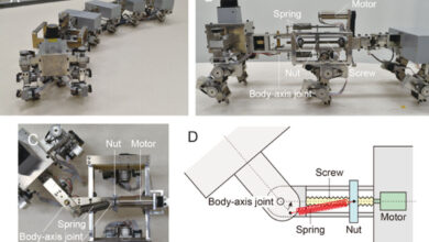 Myriapod robot (A) and variable body axis flexibility mechanism