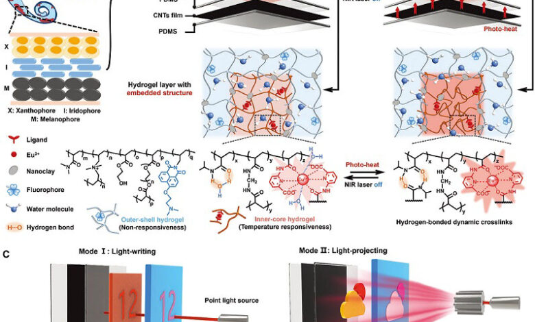A multi-colour fluorescent hydrogel system with a biomimetic vertical multilayer structure for on-demand information display