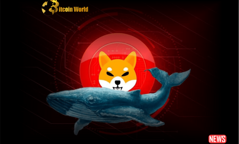 Inactive Shiba Inu Whale Transfers $500 Billion SHIB In Exchange After Making $70 Million Profit From It