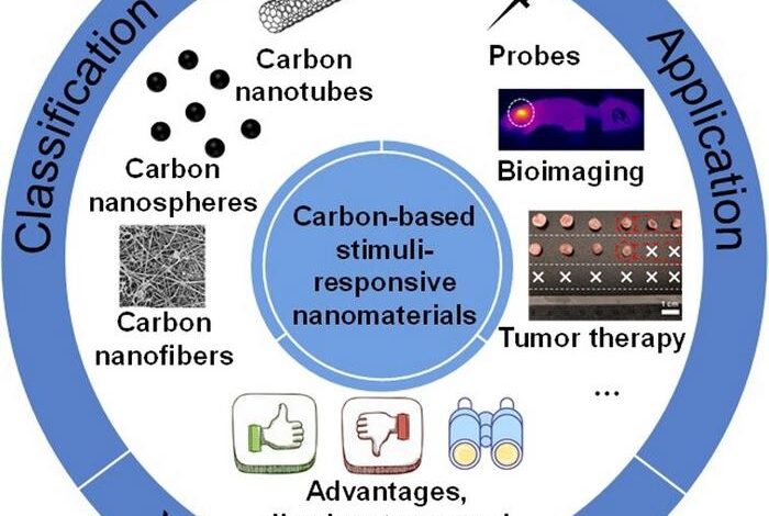Carbon-based stimulus-responsive nanomaterials: classification and