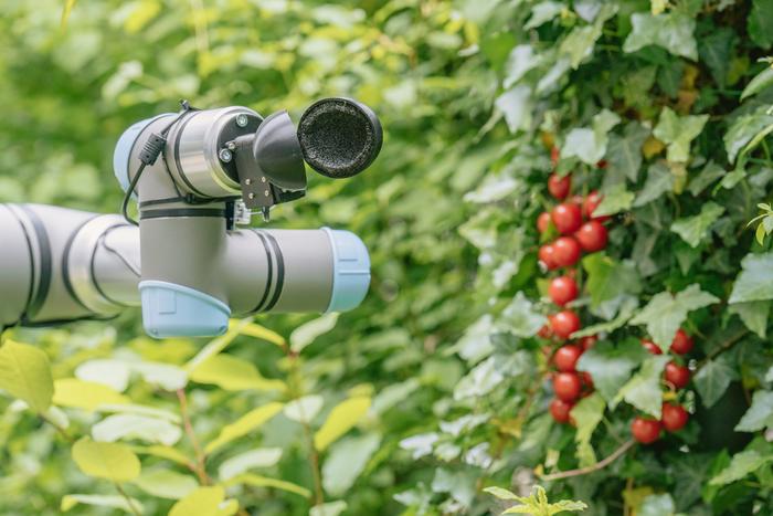 Robotic tomato picking arm designed by ChatGPT