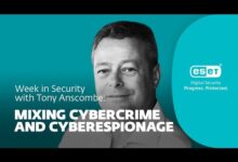Combining cybercrime and cyberespionage – Sunday in safety with Tony Anscombe