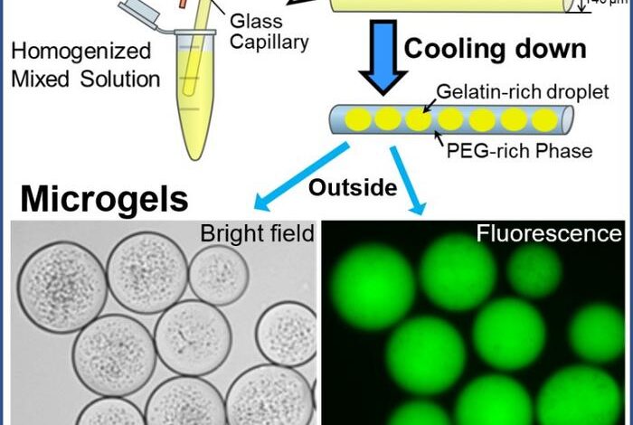 Spontaneous formation of microgels of uniform cell size in glass capillaries