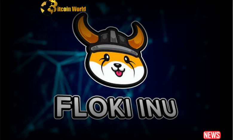 Floki Inu Users Can Now Shop on AliExpress with $FLOKI