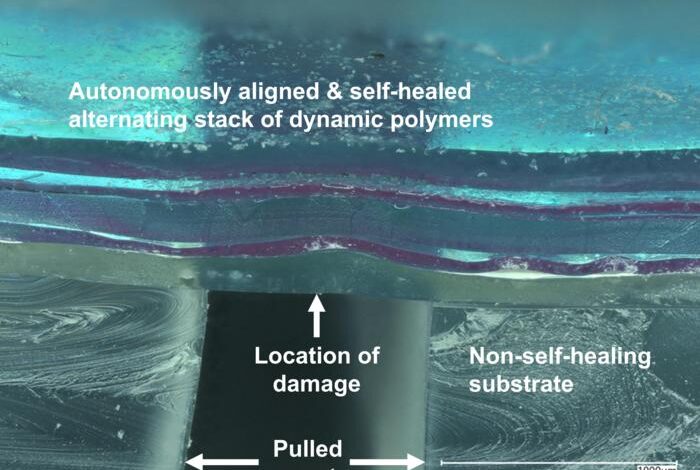 Autonomous and self-healing dynamic polymer stacks
