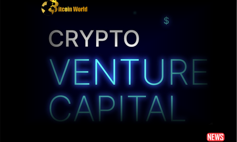 Crypto Venture Capital Firm Raise Over $350 Million in Funding