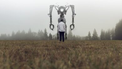 Robo-Insight #1 - Robohub